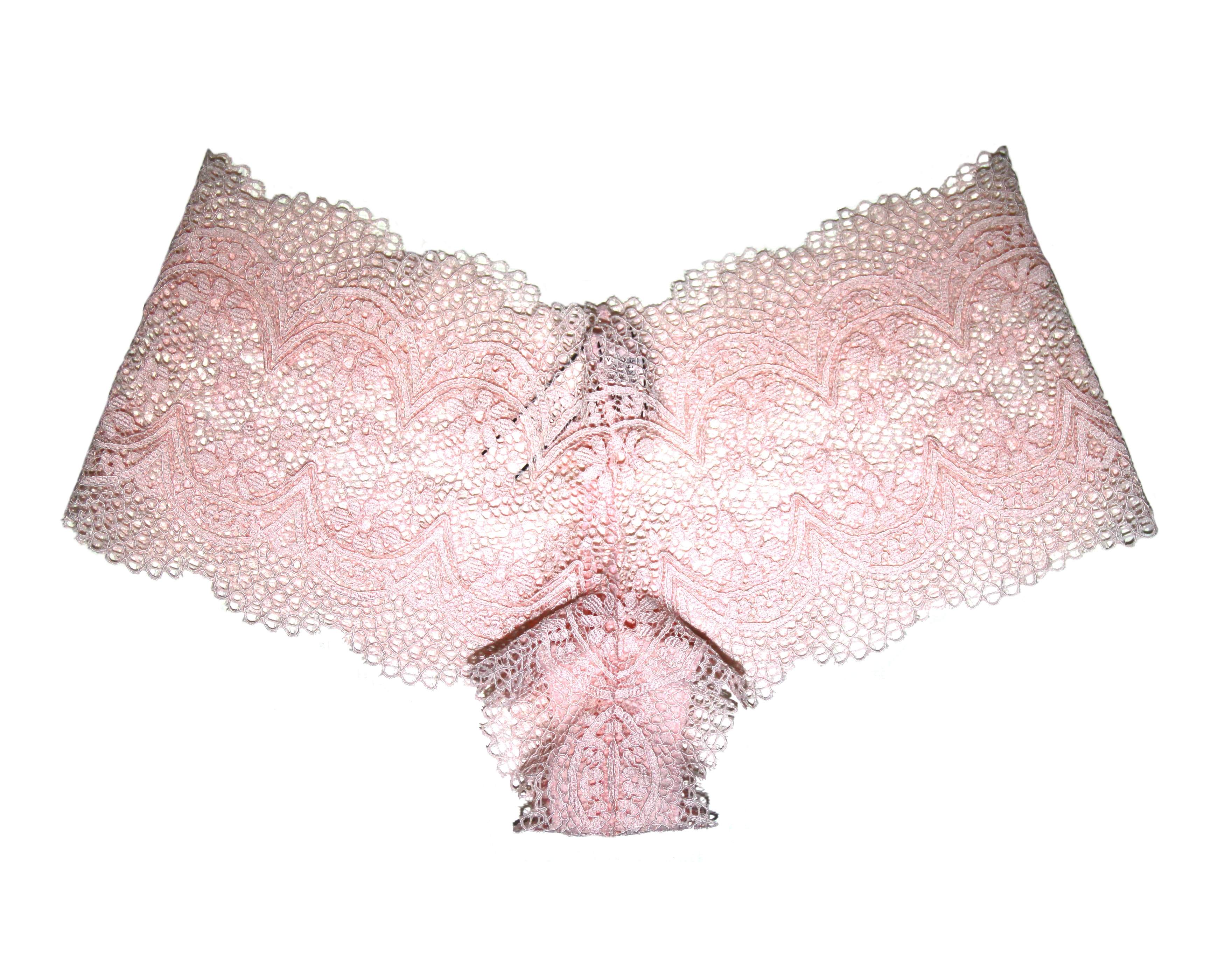 Victoria's Secret Womens Pale Pink Floral Lace Boy Shorts [11068780 ...